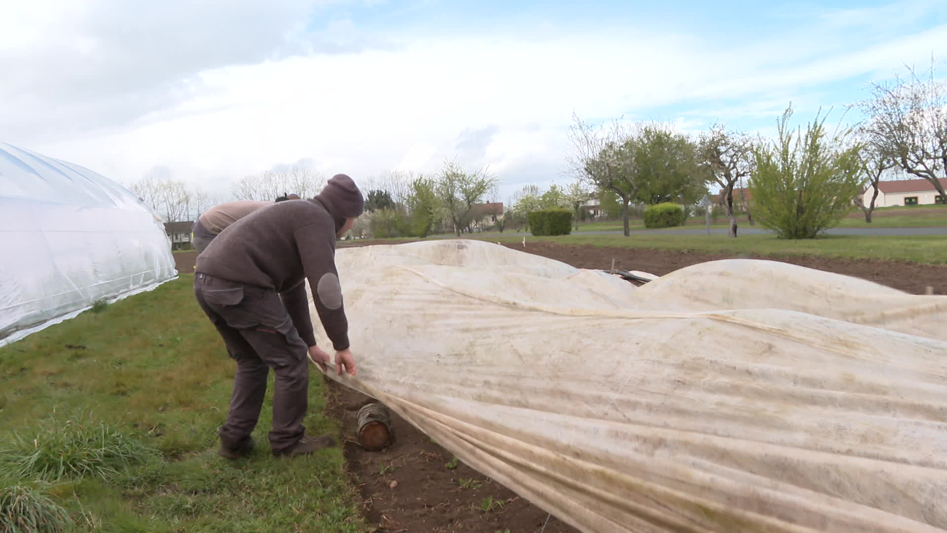Growing vegetables in greenhouses is less vulnerable to frost : how farmers are dealing with freezing temperatures