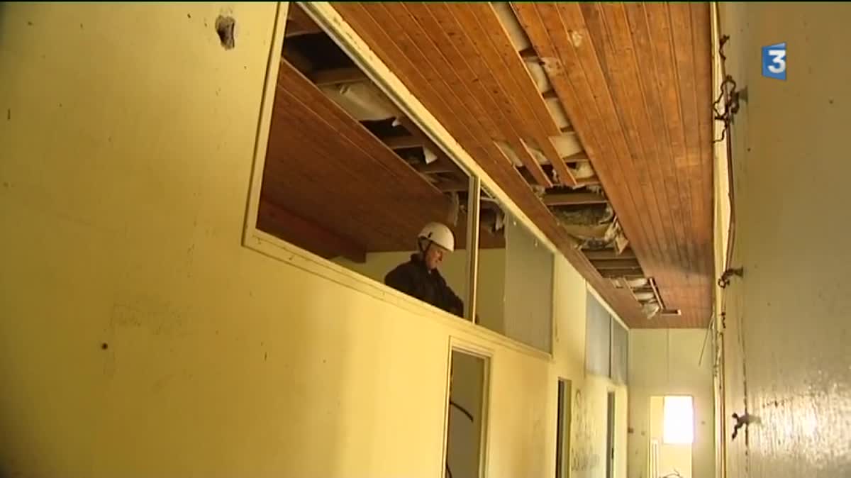 Le chantier de la Cailletière a révélé l'ancienne colonie de vacances enfouie sous la végétation.