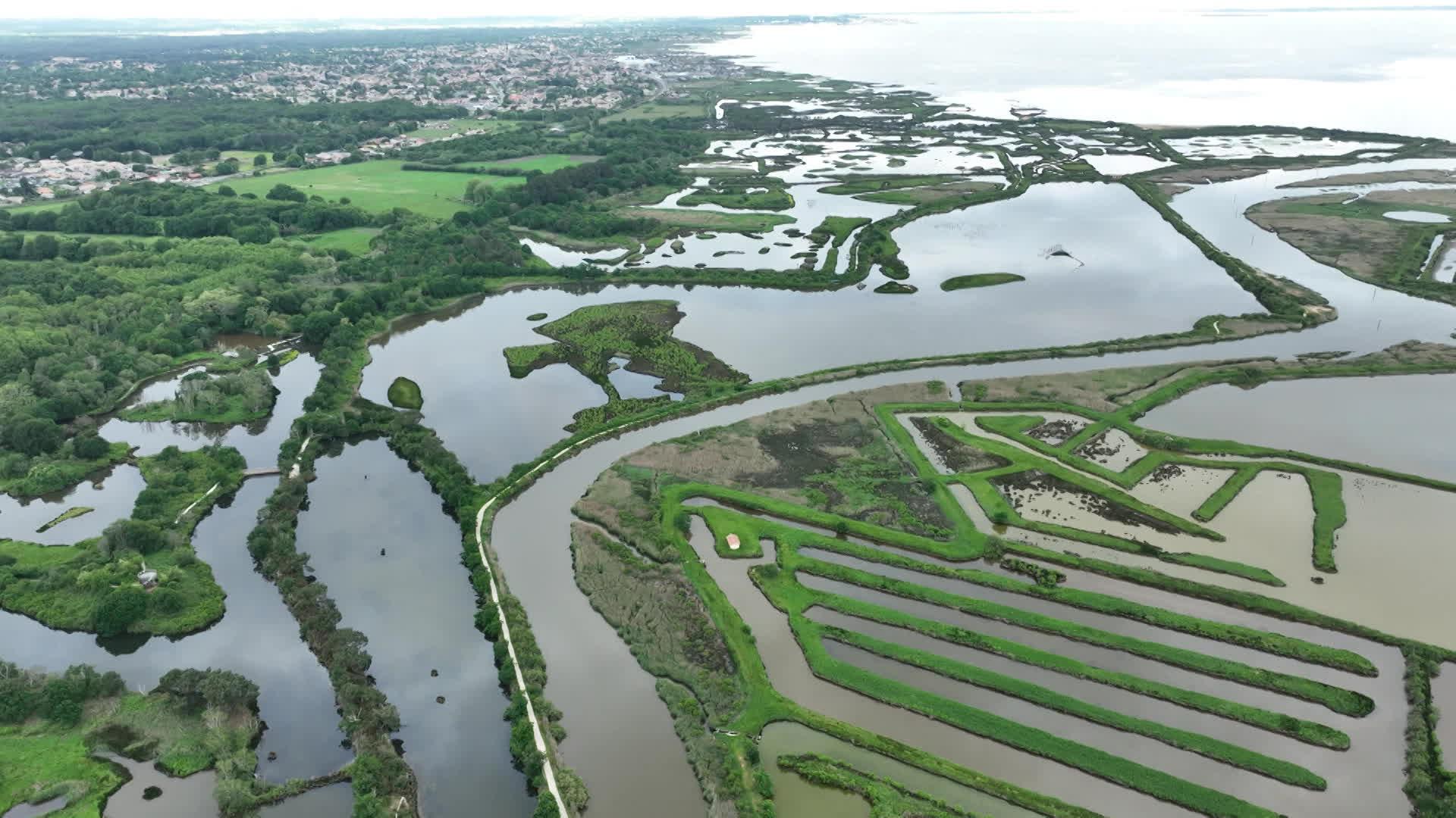 Le parc ornithologique du Teich offre un véritable havre de paix pour les oiseaux marins du Bassin d'Arcachon.