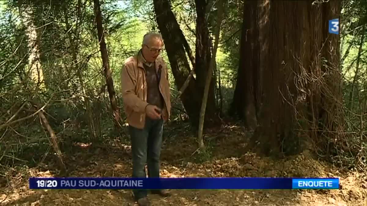 L'une des caches en Béarn