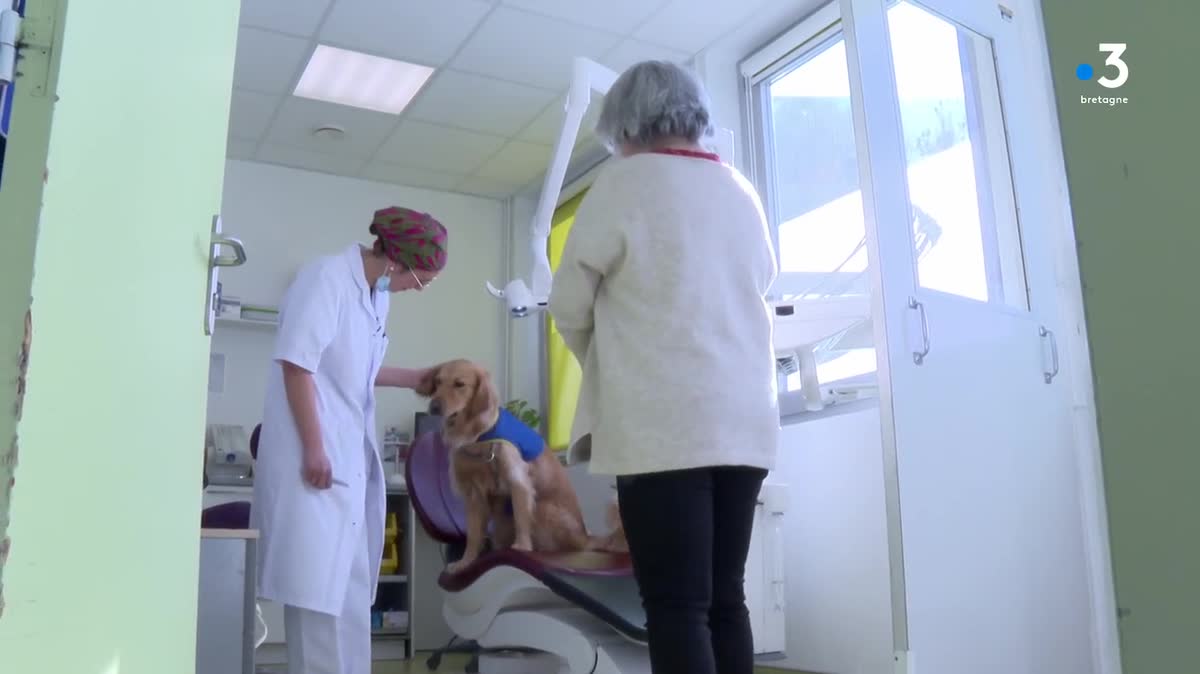 Hélène a vécu une expérience traumatisante étant enfant. Elle a développé depuis une phobie des dentistes. Mission accomplie pour Scully qui l'a rassurée