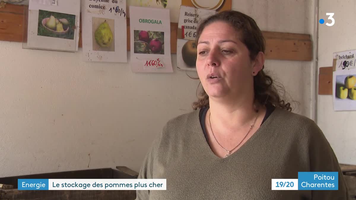 Le prix des pommes et des poires devrait augmenter