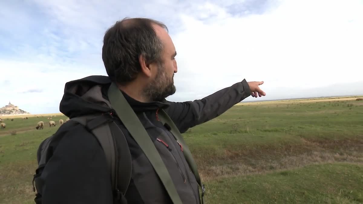 Mathieu Rivrin saisit une aurore boréale au-dessus du Mont-Saint-Michel.