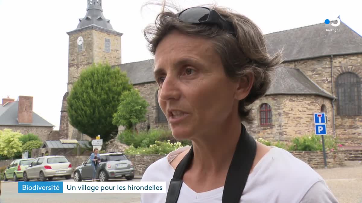 Des nids à préserver : Baulon (Ille-et-Vilaine) devient "Village ami des hirondelles".