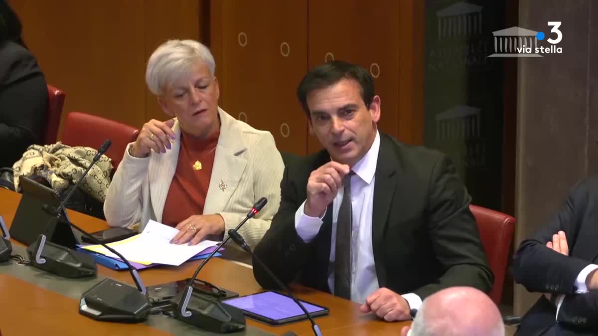 Paul-André Colombani, au côté de Michel Castellani, sur les bancs de l'Assemblée nationale.