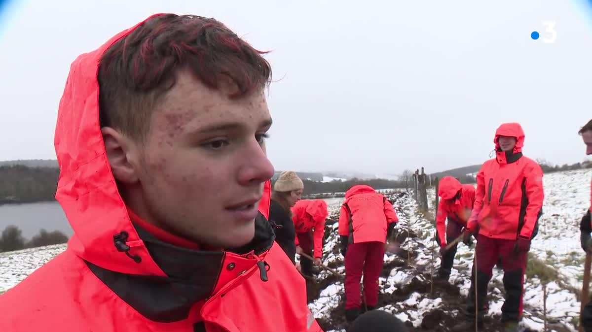 Le plateau de Millevaches métamorphosé par la neige, bientôt par le retour des arbres ?