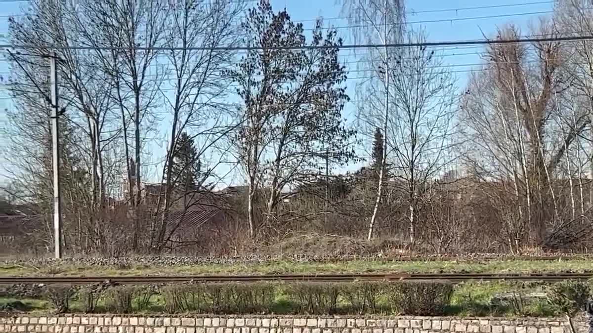 Une lionne prise en photographie au Kenya. Un félin similaire se promène du côté de la gare de Trith - Prouvy.